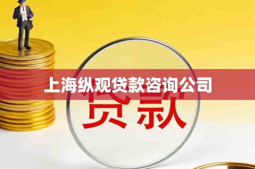 上海纵观贷款咨询公司